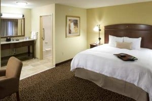 Hampton_Inn_and_Suites_Rochester-North__kingsuite_large