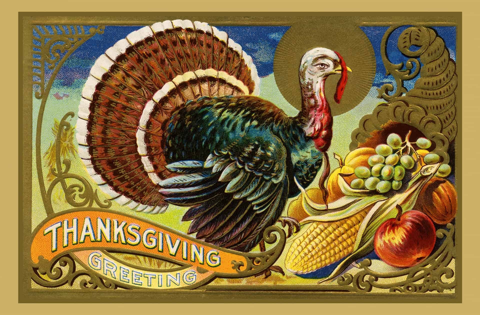 Thanksgiving Day Traditions thanksgiving-vintage-turkey-card-1628918899wN4